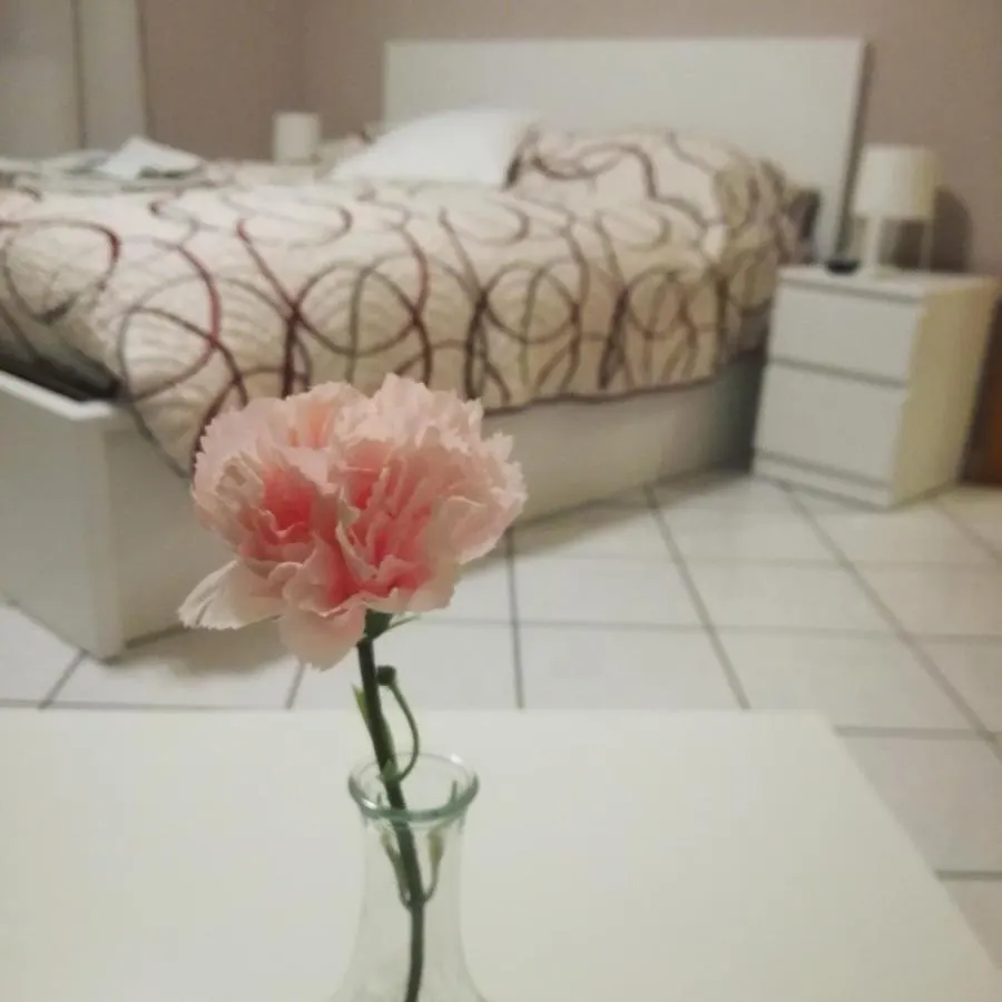 Affittacamere Hotel I capricci dell'Etna 2 di Puglisi Mascalucia
